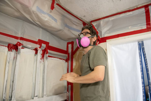 Mold Documentation for Insurance Claims in Golden Shores, AZ